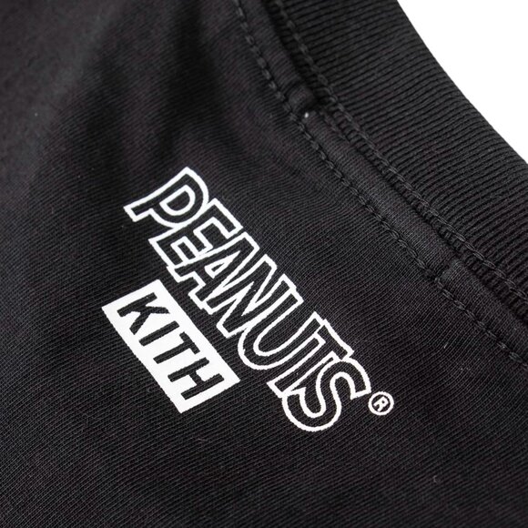 Kith For Peanuts Doghouse T-shirt Black - Picture 4 of 6